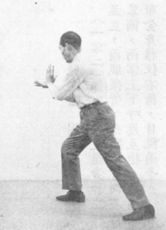 陳亦人《六合八法拳學》(1969) - photo 104