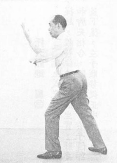 陳亦人《六合八法拳學》(1969) - photo 124