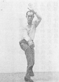 陳亦人《六合八法拳學》(1969) - photo 138