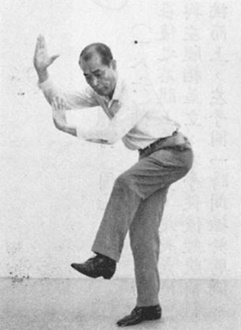 陳亦人《六合八法拳學》(1969) - photo 188