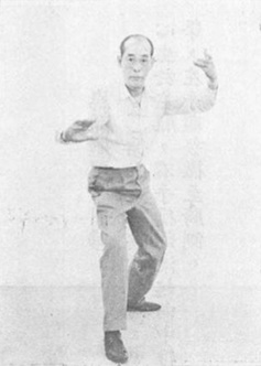 陳亦人《六合八法拳學》(1969) - photo 210
