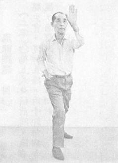 陳亦人《六合八法拳學》(1969) - photo 211