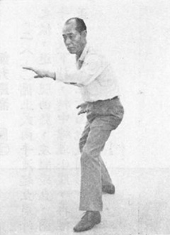 陳亦人《六合八法拳學》(1969) - photo 285