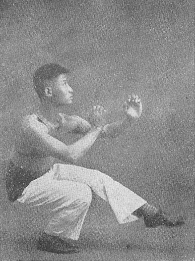 萬籟聲《武術滙宗》(1929) - 自然拳 photo 14