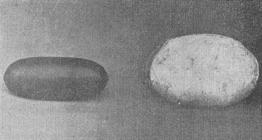 萬籟聲《武術滙宗》(1929) - 自然拳 photo 2