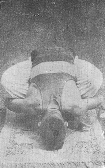 萬籟聲《武術滙宗》(1929) - 自然拳 photo 8